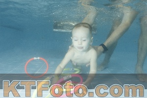 Foto 4306056