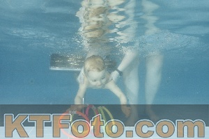 Foto 4306057