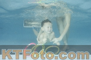 Foto 4306060