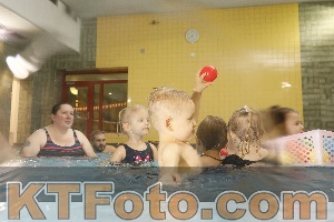Photo 4306102