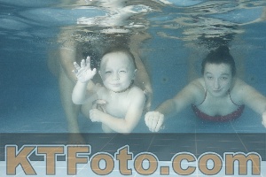 Photo 4306110