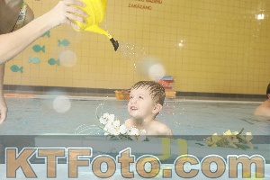 Photo 4306158