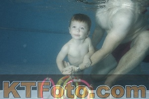 Photo 4306193