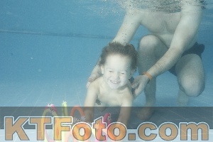 Photo 4306196
