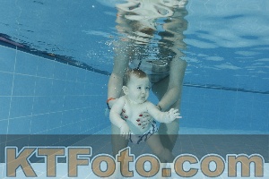 Photo 4306334