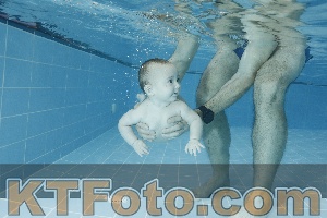 Photo 4306337