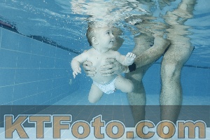 Photo 4306338