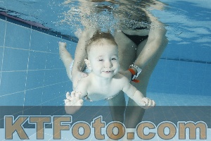 Photo 4306340