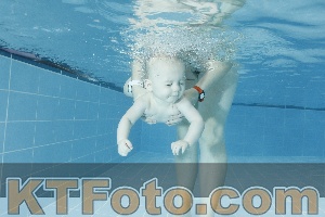 Photo 4306341