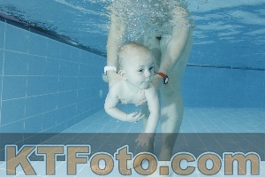 Photo 4306342