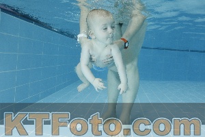 Photo 4306343