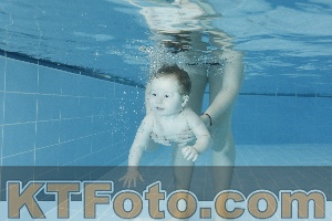 Photo 4306344