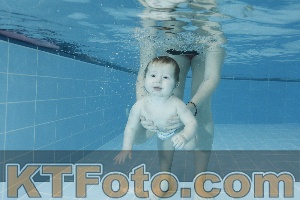 Photo 4306345