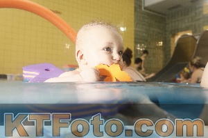 Photo 4306371