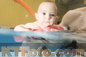 Photo 4306380