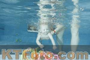 Photo 4306408