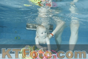 Photo 4306409