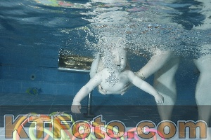Photo 4306410