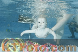 Photo 4306411