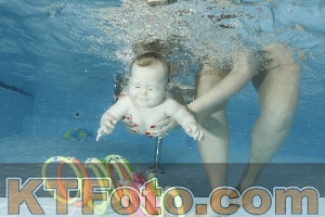 Photo 4306412