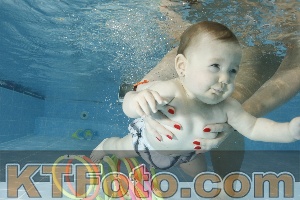 Photo 4306414
