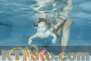 Photo 4306415