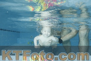 Photo 4306417