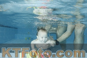 Photo 4306418