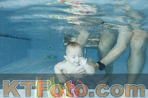 Photo 4306419