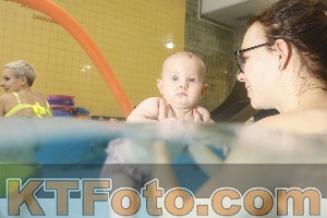 Photo 4306515