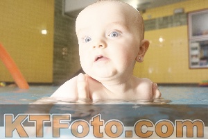 Photo 4306524