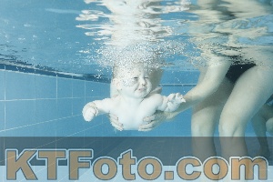 Photo 4306528