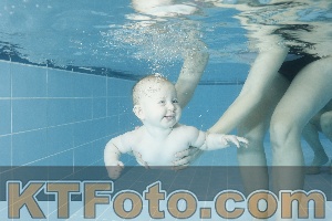 Photo 4306529