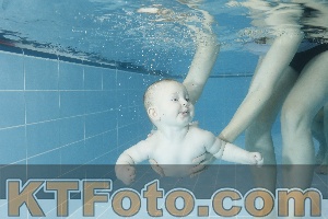 Photo 4306530