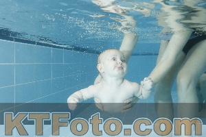 Photo 4306531