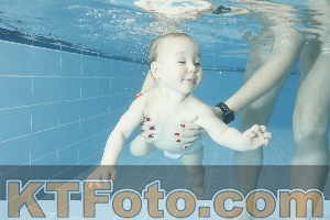 Photo 4306533