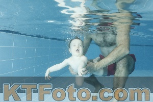 Photo 4306534