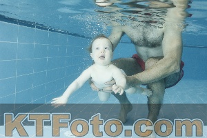 Photo 4306535