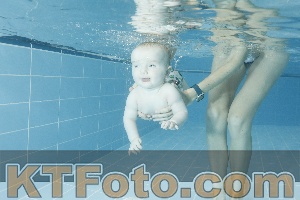 Photo 4306536