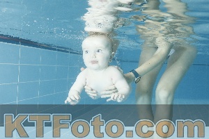 Photo 4306537