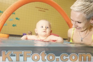 Photo 4306544