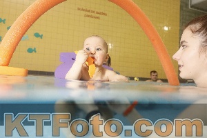 Photo 4306546
