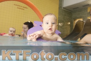 Photo 4306549