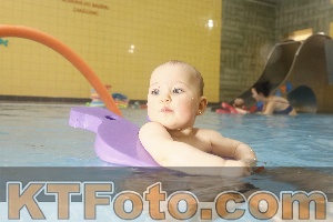 Photo 4306564
