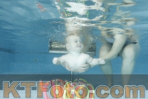 Photo 4306610