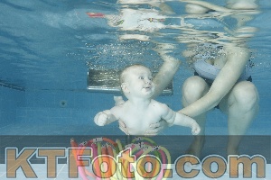 Photo 4306611