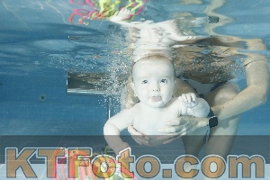Photo 4306614