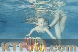 Photo 4306617