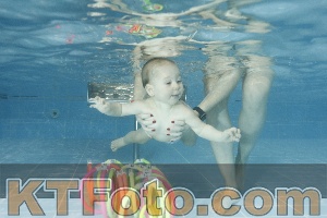 Photo 4306618