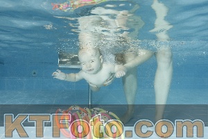 Photo 4306621